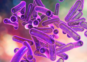 96 cas de Shigella en Tunisie