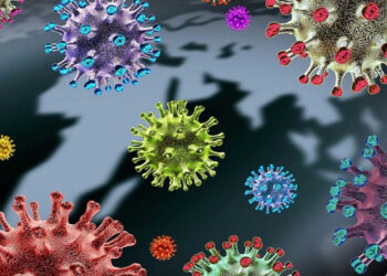 Coronavirus variant B.1.1