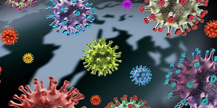 Coronavirus variant B.1.1