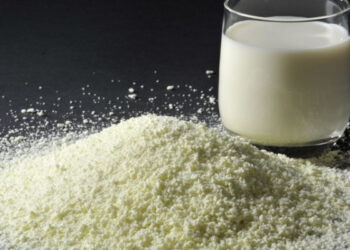 lait en poudre