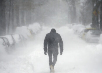 Neige USA