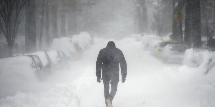 Neige USA