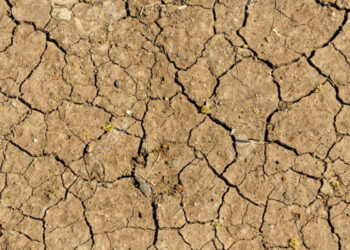L’UTAP appelle à décréter l’état d'urgence hydrique