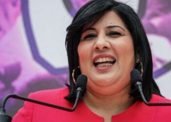 Envoi des tunisiens vers les zones de conflit : Abir Moussi auditionnée
