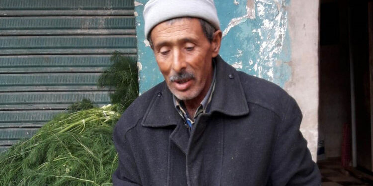 Les narcisses de Halfaouine