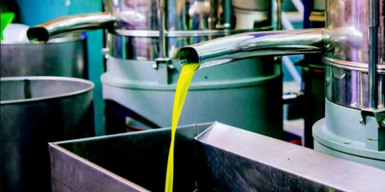 Saison oléicole 2022 : La production d’huile d’olive en baisse…