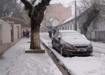Neige