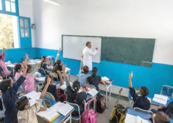 Enseignement