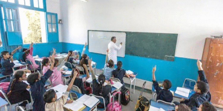 Enseignement