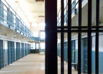 Les Tunisiens qui hébergent des étrangers en violation de la loi, passibles de prison