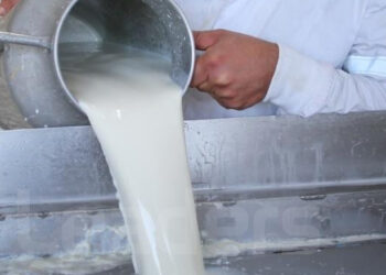 Cachez ce lait que je ne saurais voir !