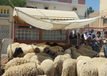 Le syndicat des bouchers veut annuler la célébration de l'Aïd Al Idha