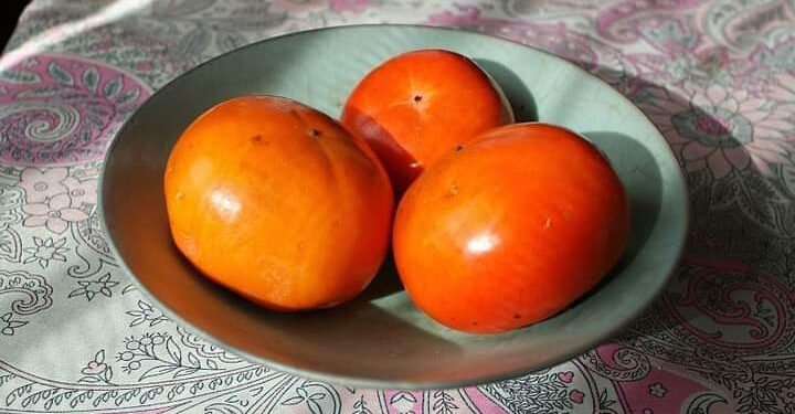 Nouvel an des arbres : Les oranges de Tou Bishvat
