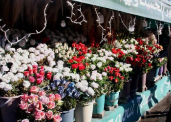 A la Saint-Valentin, les prix des fleurs flambent !