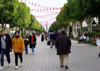 Tunisie : Combien coûtera le recensement général de la population et de l’habitat 2024 ?