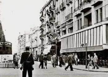 Les sauts de puce du TGM