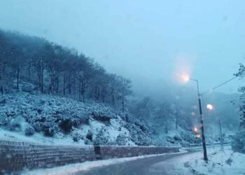 Tunisie : Pluie abondante et chutes de neige sur les hauteurs