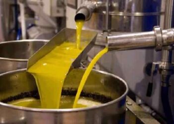 La production nationale d’huile d’olive en baisse de 25%