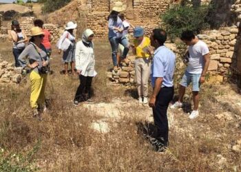 Une bonne nouvelle pour Carthage : Une campagne de fouilles archéologiques en avril