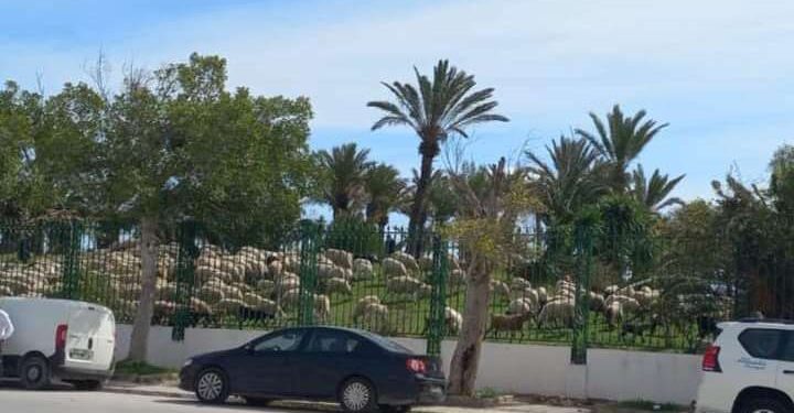 Lobna Abidi Medini (groupe "On a été embêtés pour vous")