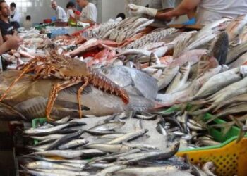 Produits de la pêche : La marge bénéficiaire plafonnée à 25%