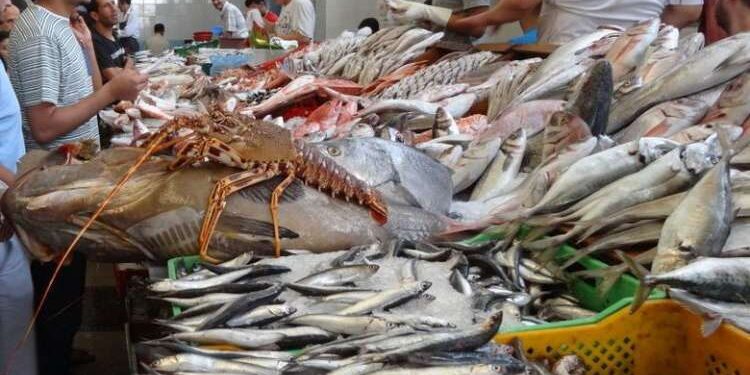 Produits de la pêche : La marge bénéficiaire plafonnée à 25%