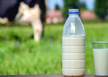 Hausse de 200 mil/litre du prix du lait frais à la production