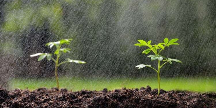 Pluie