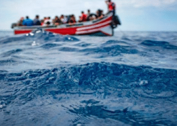 Migration