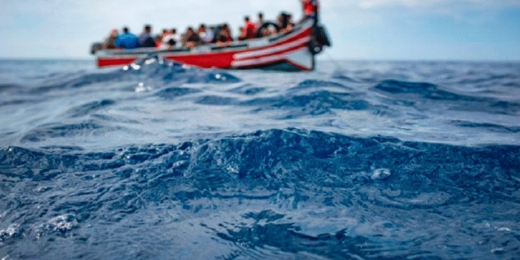 Migration
