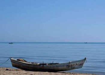 Raoued : Lancement officiel du projet pilote de protection de la pêche
