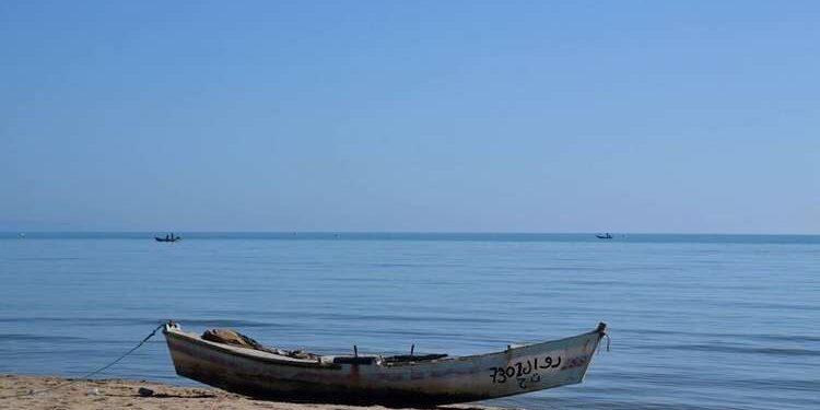 Raoued : Lancement officiel du projet pilote de protection de la pêche