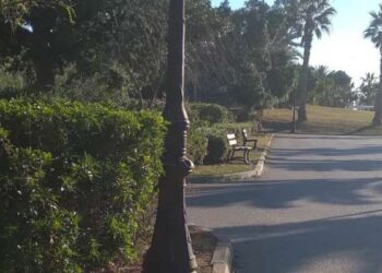 A Tunis, un amour de jardin japonais