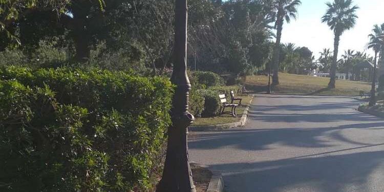 A Tunis, un amour de jardin japonais
