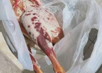 195 tonnes de produits alimentaires saisis en trois semaines