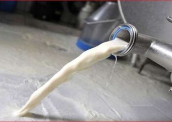L'UTAP s'attend à une augmentation du prix du lait à la production d'au moins 500 millimes