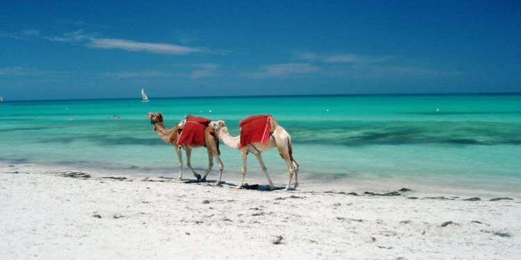 Djerba