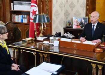 « Nous devrons compter sur nous-mêmes pour surmonter les difficultés », réitère Saied