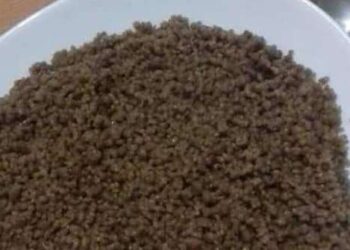 Connaissez-vous Lemzayet, ce couscous noir et onctueux ?