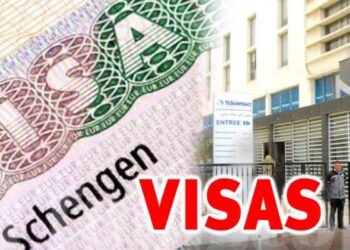 TLS Contact : Près de 2000 rendez-vous supplémentaires seront disponibles