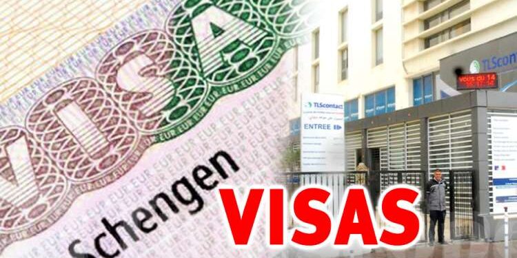 TLS Contact : Près de 2000 rendez-vous supplémentaires seront disponibles