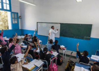 Enseignants