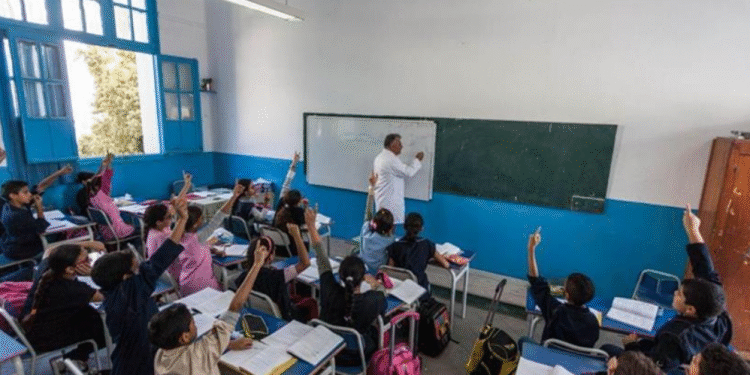 Enseignants