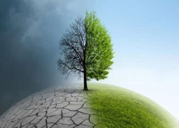 BAD : La Tunisie a besoin de 24,4 milliards d'USD pour répondre aux changements climatiques