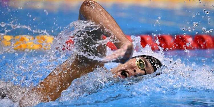 Ahmed Ayoub Hafnaoui : Parcours d'un Champion stratosphérique