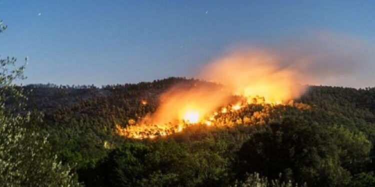 Tunisie : Un décès suite aux incendies déclarés à Nefza