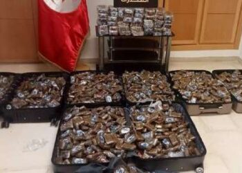 200 kg de cannabis saisis dans un appartement aux Jardins de Carthage