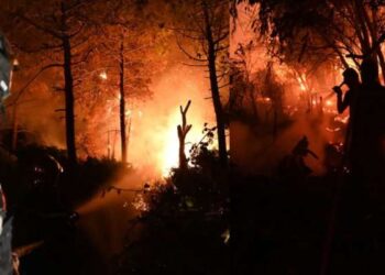 Tunisie : Tous les incendies maîtrisés, selon l’Intérieur