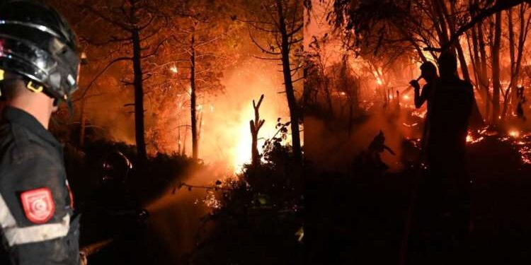 Tunisie : Tous les incendies maîtrisés, selon l’Intérieur