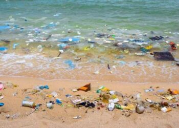 La pollution plastique coûte très cher aux pays de la région MENA